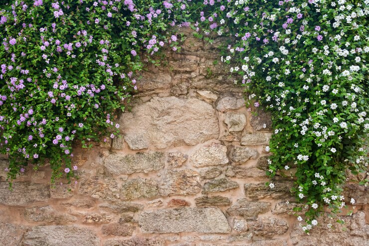 flores em um fundo de muro de pedra
