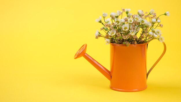 Flores em um regador em miniatura em um fundo amarelo Conceito de cuidados com plantas Lugar para texto Copiar espaço