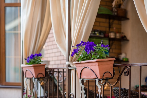 Foto flores em vasos pendurados na varanda da casa.