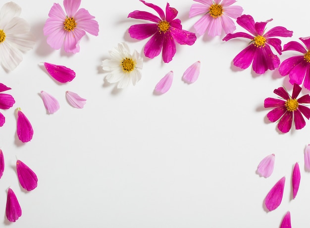 Flores en el espacio en blanco