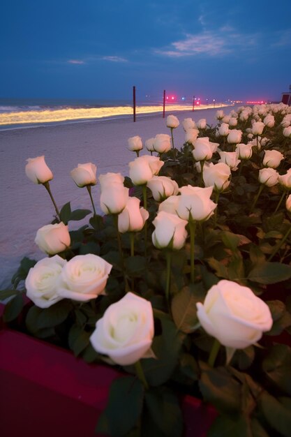 flores estão crescendo em uma praia perto do oceano à noite ai generativa