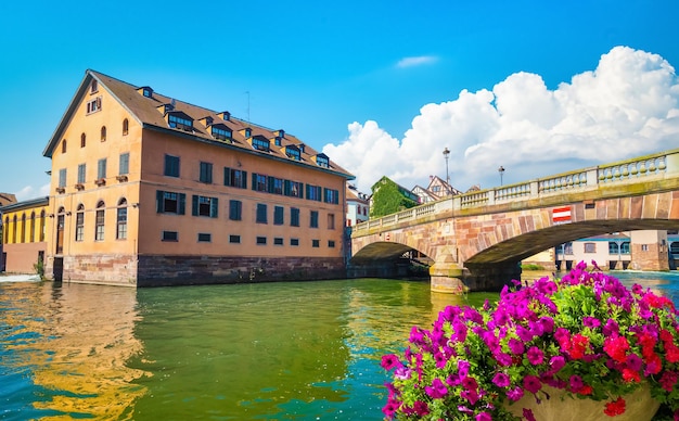 Flores en Estrasburgo