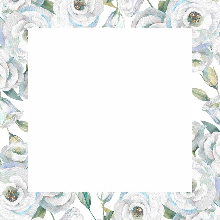Foto flores eustoma brancas pintadas a aquarela ilustração quadro quadrado isolado em branco floral romântico