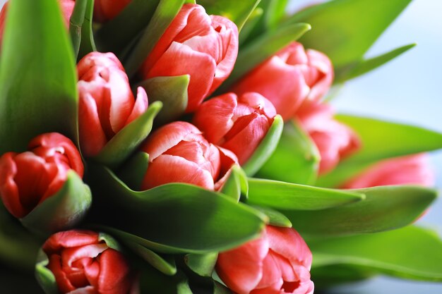 Flores, férias da primavera e conceito de decoração para casa - buquê de lindas tulipas, fundo floral