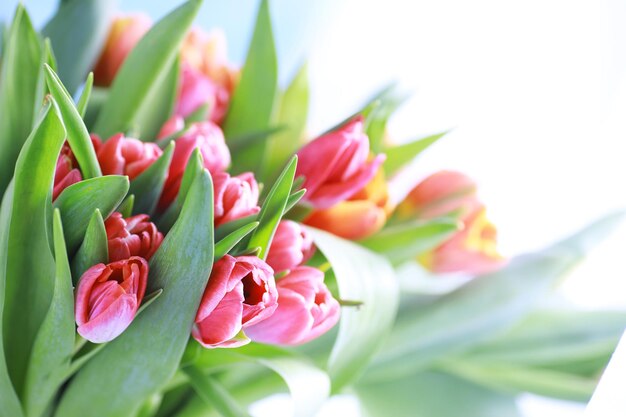 Flores, férias de primavera e conceito de decoração para casa - buquê de lindas tulipas, fundo floral