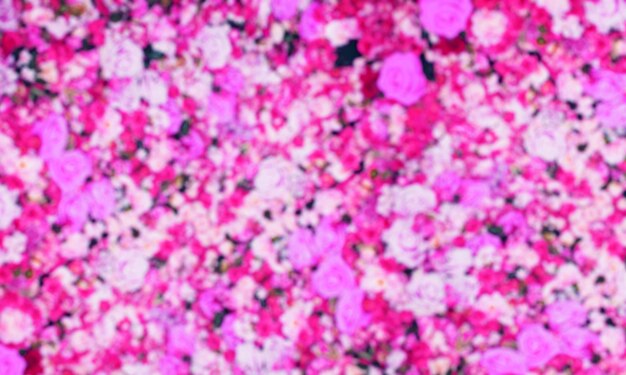 Flores en flor borrosas fondo lila de pared para la presentación del producto