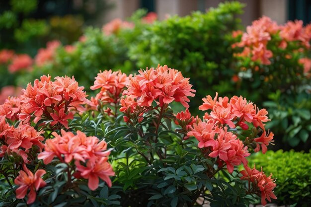 Flores en flor junto a un elegante edificio