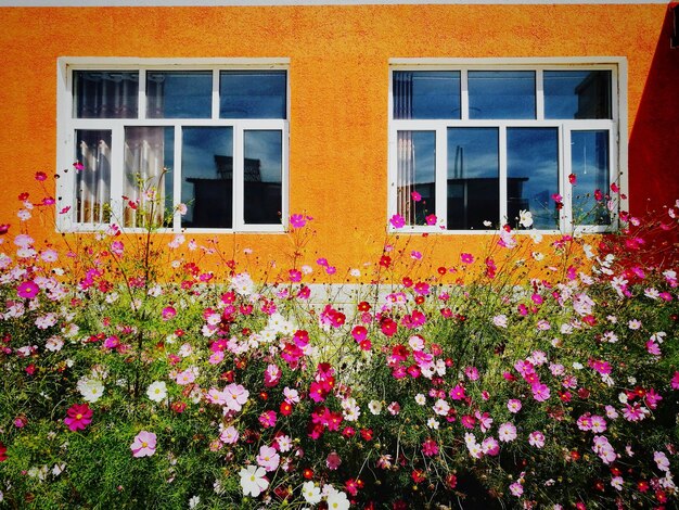 Foto las flores florecen fuera de la casa.