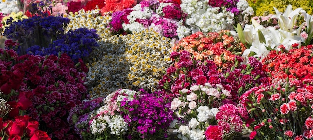 Las flores florecen haciendo un fondo floral.