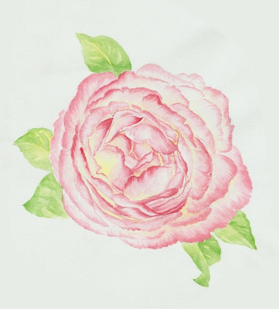 Las flores florecen en el verano fresco, el diseño artístico de hojas y flores.