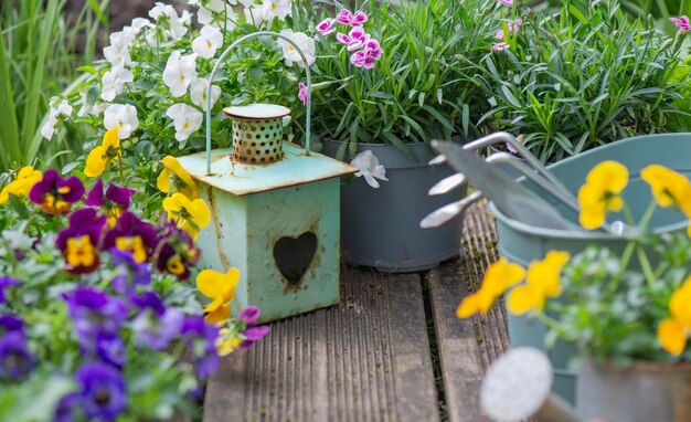 flores florecientes y dispuestas en la terraza de madera con macetas decorativas y linterna