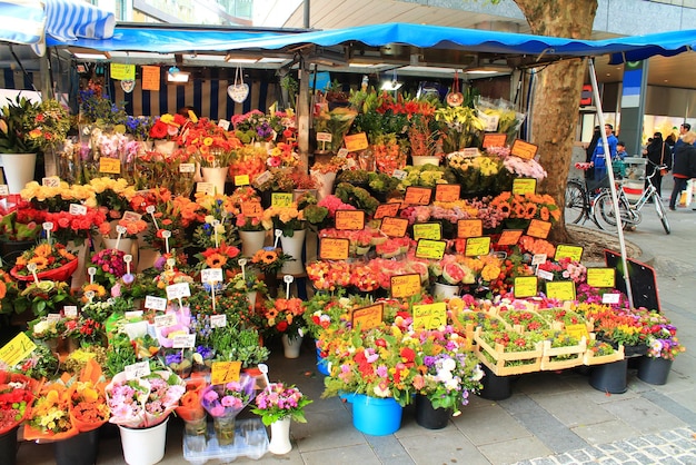 Flores en una floristería al aire libre listas para ser vendidas con una variedad de macetas con plantas