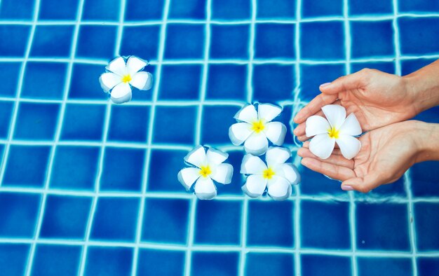 Flores flotantes de frangipani en la piscina