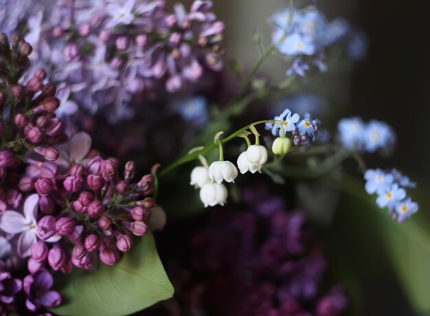 Flores fragantes lilas púrpuras en el parque de verano