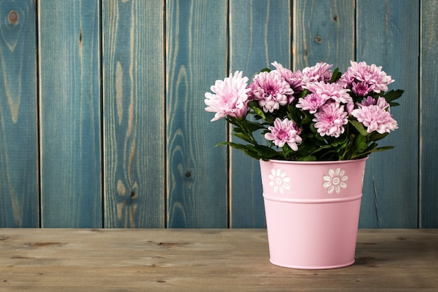 Foto flores frescas de crisântemo rosa em um balde