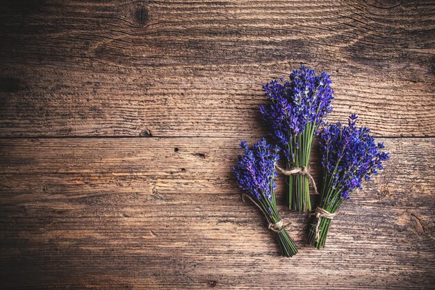 Flores frescas de lavanda