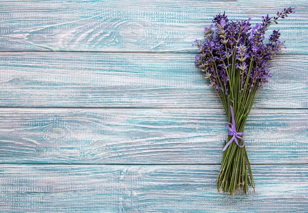 Flores frescas de lavanda