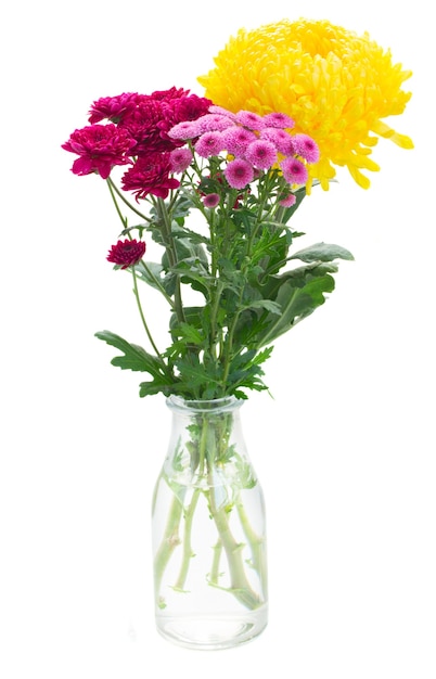 Foto flores frescas de mãe amarela, vermelha e rosa em um vaso isolado no fundo branco