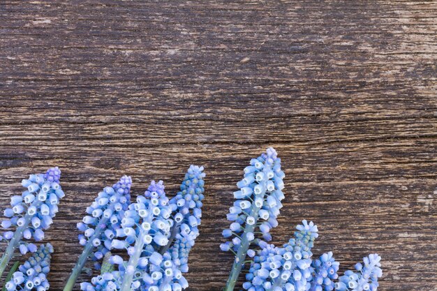 Foto flores frescas de muscari em fundo de madeira com espaço de cópia