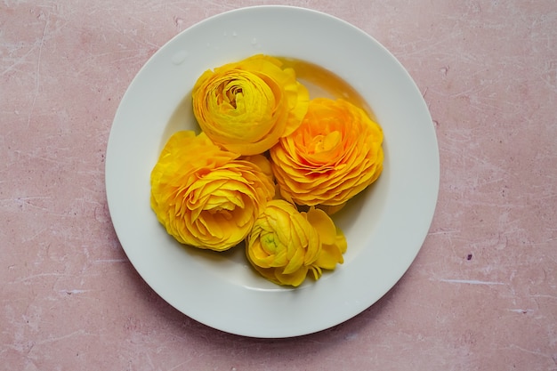 Flores frescas de ranúnculo amarelo em uma placa redonda branca sobre um fundo rosa de concreto envelhecido.