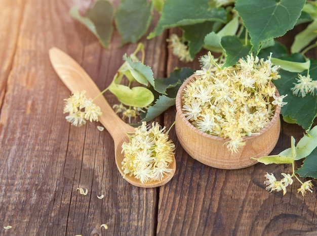 Flores frescas de tília ou cordate de tília em uma mesa de madeira e em uma tigela de madeira