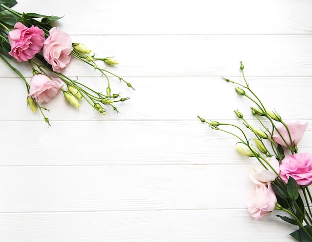 Flores frescas de eustoma rosa