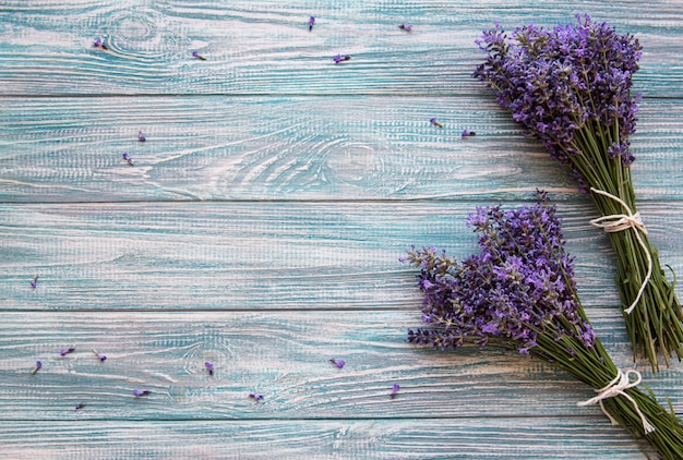 Flores frescas de lavanda