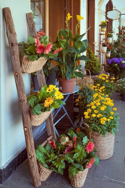Flores frescas de verano en macetas de mimbre en escalera decorativa Jardinería y decoración de calles urbanas