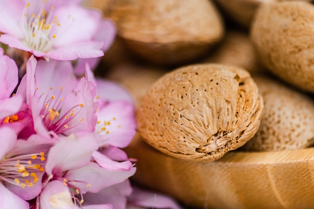 Flores y frutos de almendra