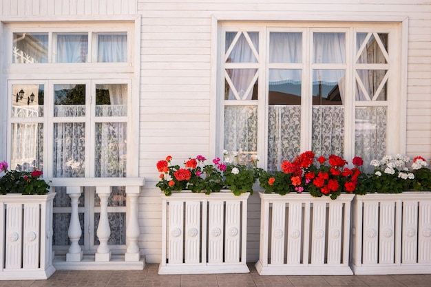 Las flores fuera de las ventanas de una casa, las petunias rojas y blancas, sienten el aroma de la frescura.