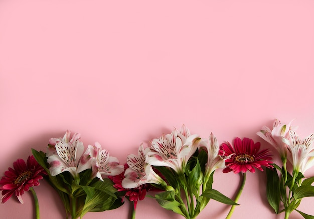 Flores de gerbera y alstroemeria dispuestas sobre un fondo rosa.