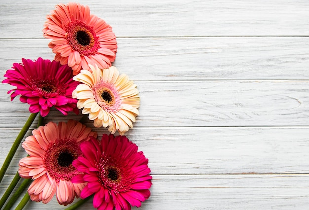 Flores gerbera brilhantes sobre um fundo branco de madeira. Quadro de flores, vista superior