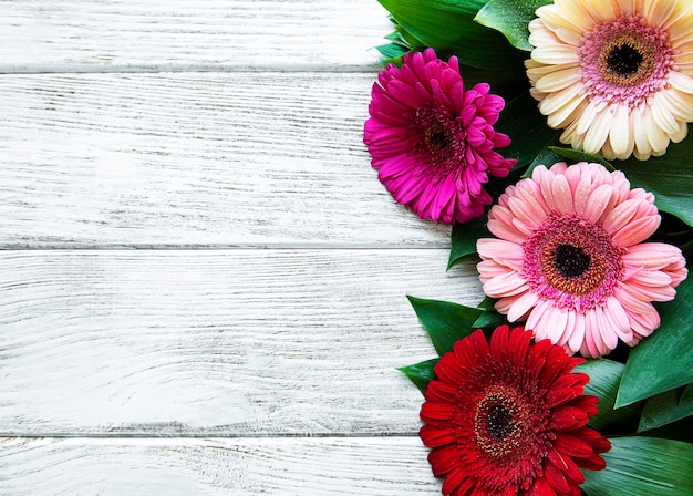 Flores de gerbera brillante sobre un fondo de madera blanca. Marco de flores, vista superior