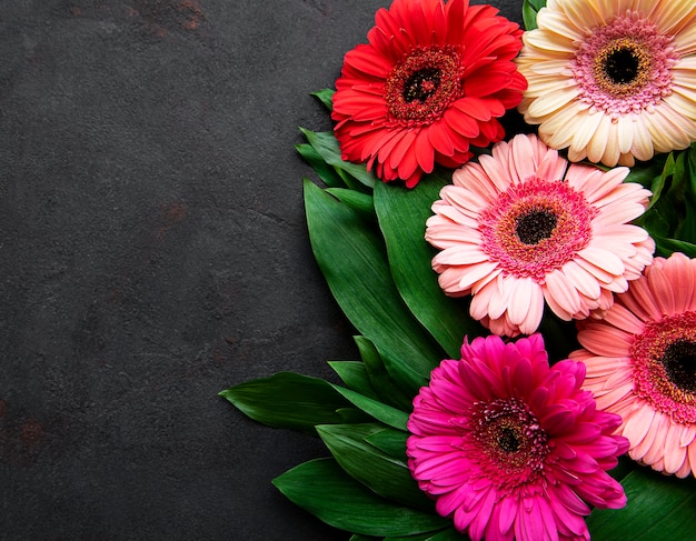 Flores de gerbera brillante sobre un hormigón negro