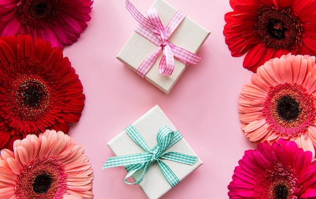 Flores de gerbera y cajas de regalo sobre un fondo rosa. vista superior