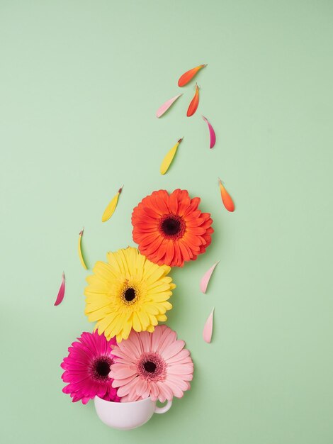 Flores de gerbera cayendo en taza