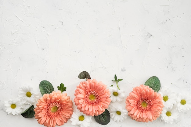 Flores de gerbera con margaritas y espacio de copia