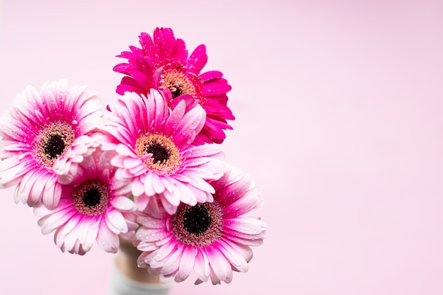 Flores de gerbera rosa. Diseño feliz día de la madre. Flores naturales frescas. Gerberas rosadas. Copia espacio Ramo de hermosas flores de gerbera.