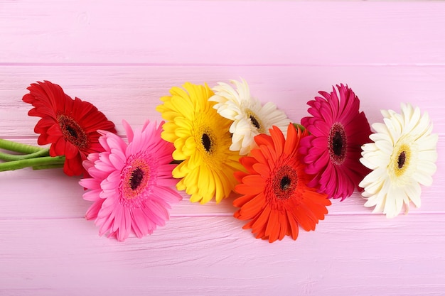 Foto flores de gerbera sobre fondo de madera rosa