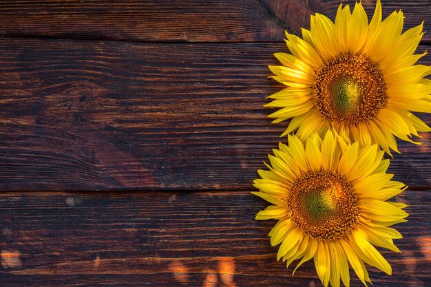 Flores de girasol brillantes en una vieja mesa de madera Vista desde arriba