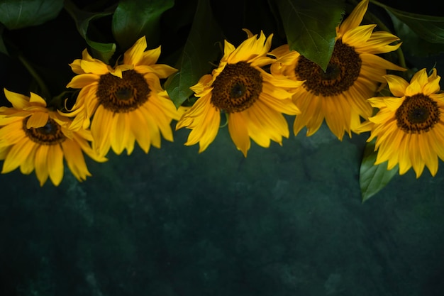 Flores de girasoles sobre un fondo verde