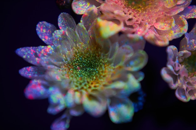 Las flores en las gotas de pintura brillan con la luz ultravioleta. Cosmética de belleza natural