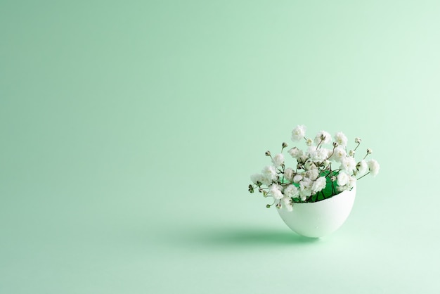 Flores de Gypsophila en cáscara de huevo