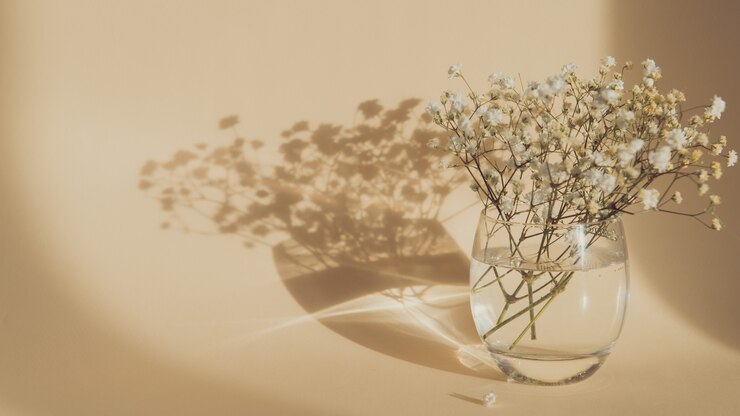 Flores de gypsophila en florero de vidrio sobre fondo beige, luz y sombra