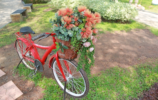 Flores hermosas en cesta de la bicicleta en el jardín.