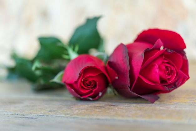 Flores hermosas de la naturaleza de la flor de la rosa del rojo del jardín en piso de madera