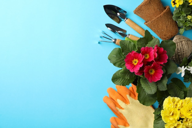 Flores y herramientas de jardinería en azul, espacio para texto