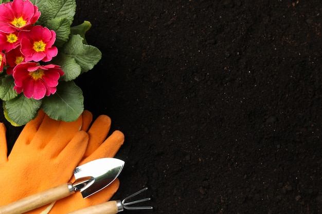 Flores y herramientas de jardinería en el fondo del suelo, espacio para texto