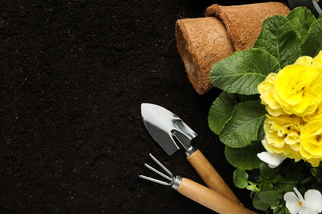 Flores y herramientas de jardinería en el fondo del suelo, espacio para texto