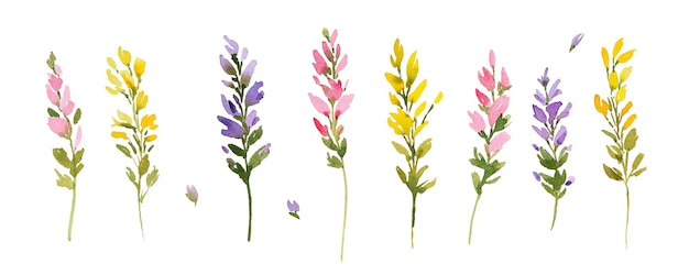 Flores y hierbas de acuarela rosa y lavanda para el diseño de prados de verano